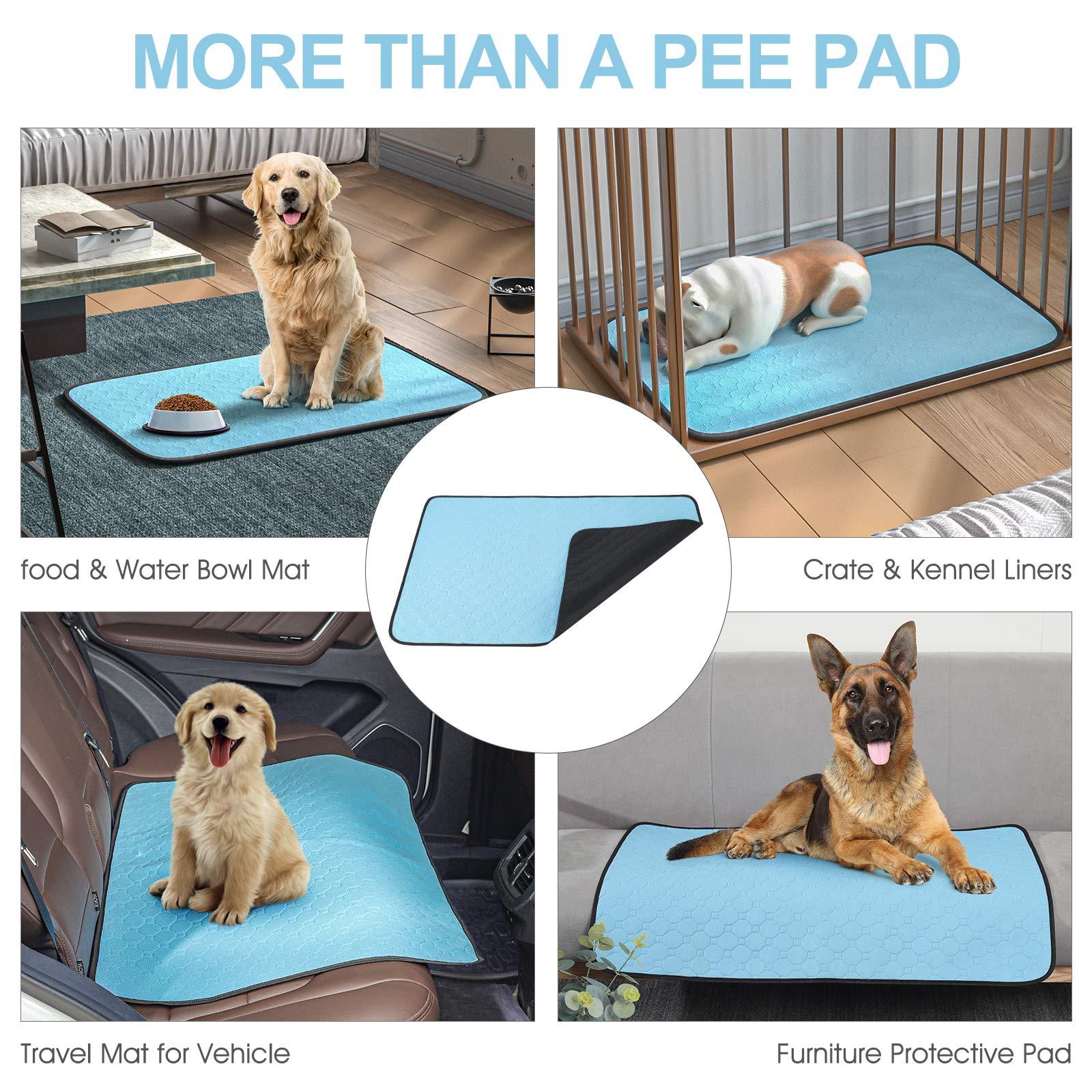 Washable Dog Urine Pad | Waterproof Non-Slip Training Mat for Dogs & Cats (2-Pack)